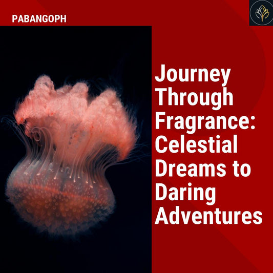 Journey Through Fragrance: Celestial Dreams to Daring Adventures