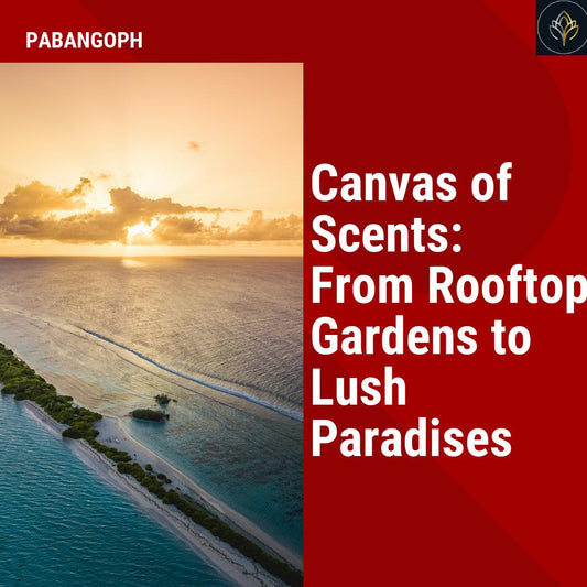 Canvas of Scents: From Rooftop Gardens to Lush Paradises