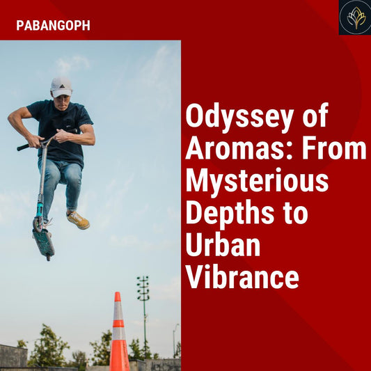 Odyssey of Aromas: From Mysterious Depths to Urban Vibrance