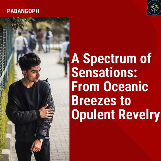 A Spectrum of Sensations: From Oceanic Breezes to Opulent Revelry