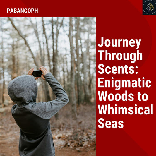 Journey Through Scents: Enigmatic Woods to Whimsical Seas