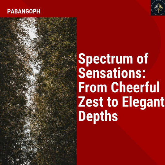 Spectrum of Sensations: From Cheerful Zest to Elegant Depths