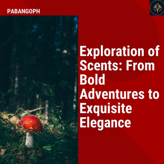 Exploration of Scents: From Bold Adventures to Exquisite Elegance