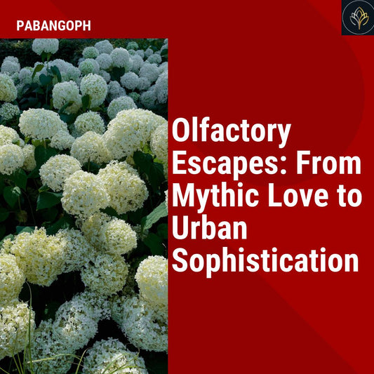 Olfactory Escapes: From Mythic Love to Urban Sophistication