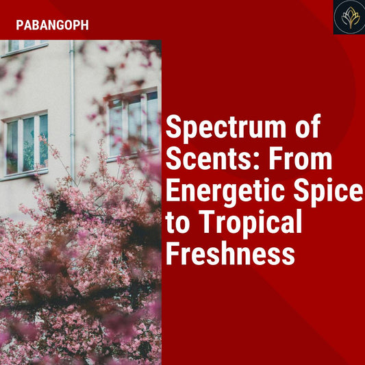 Spectrum of Scents: From Energetic Spice to Tropical Freshness