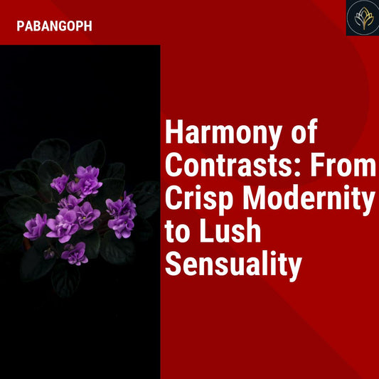 Harmony of Contrasts: From Crisp Modernity to Lush Sensuality