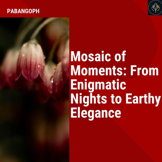 Mosaic of Moments: From Enigmatic Nights to Earthy Elegance