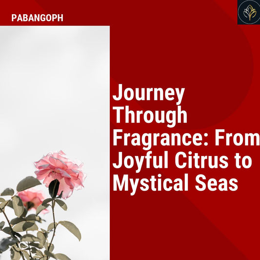 Journey Through Fragrance: From Joyful Citrus to Mystical Seas