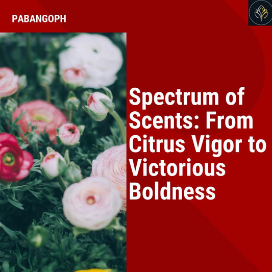 Spectrum of Scents: From Citrus Vigor to Victorious Boldness