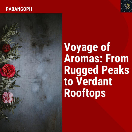 Voyage of Aromas: From Rugged Peaks to Verdant Rooftops