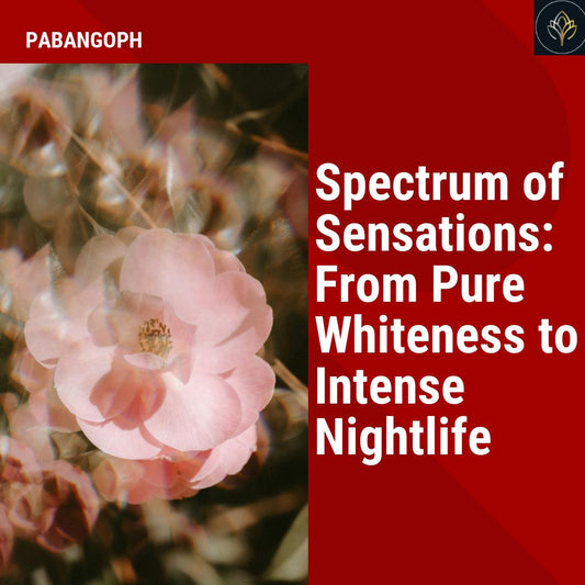 Spectrum of Sensations: From Pure Whiteness to Intense Nightlife