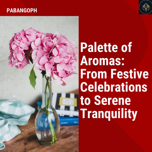 Palette of Aromas: From Festive Celebrations to Serene Tranquility