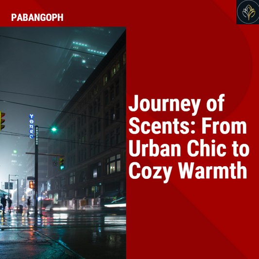 Journey of Scents: From Urban Chic to Cozy Warmth