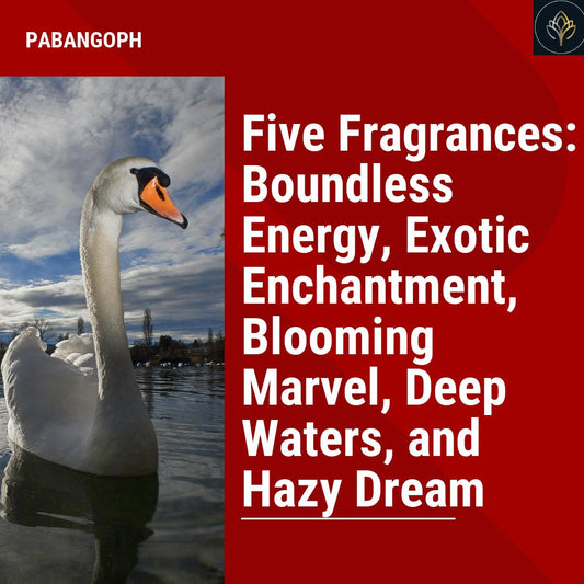 Five Fragrances: Boundless Energy, Exotic Enchantment, Blooming Marvel, Deep Waters, and Hazy Dream