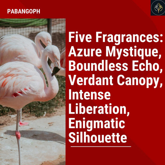 Five Fragrances: Azure Mystique, Boundless Echo, Verdant Canopy, Intense Liberation, Enigmatic Silhouette