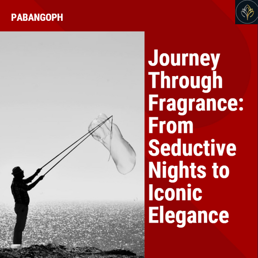 Journey Through Fragrance: From Seductive Nights to Iconic Elegance