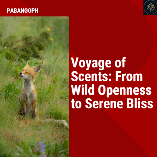 Voyage of Scents: From Wild Openness to Serene Bliss