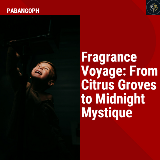 Fragrance Voyage: From Citrus Groves to Midnight Mystique