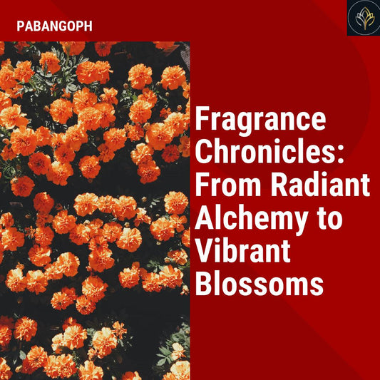 Fragrance Chronicles: From Radiant Alchemy to Vibrant Blossoms