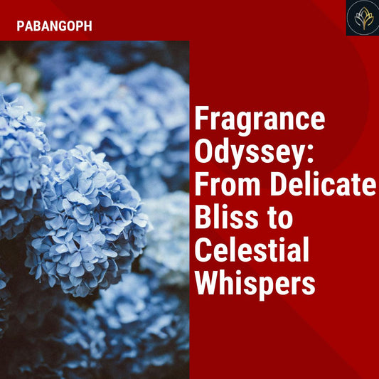 Fragrance Odyssey: From Delicate Bliss to Celestial Whispers