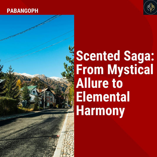 Scented Saga: From Mystical Allure to Elemental Harmony