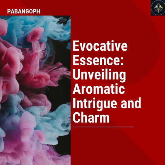 Evocative Essence: Unveiling Aromatic Intrigue and Charm