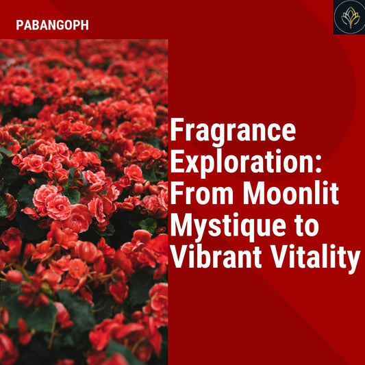 Fragrance Exploration: From Moonlit Mystique to Vibrant Vitality