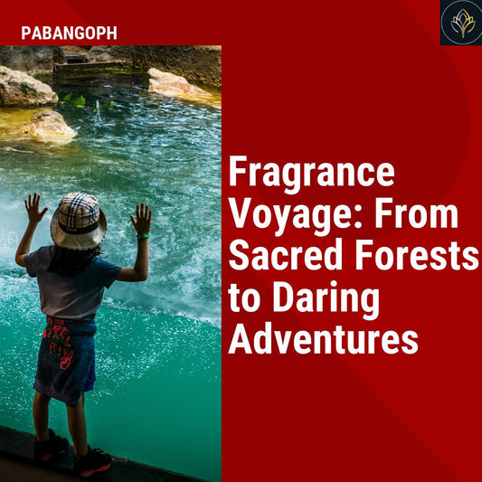 Fragrance Voyage: From Sacred Forests to Daring Adventures