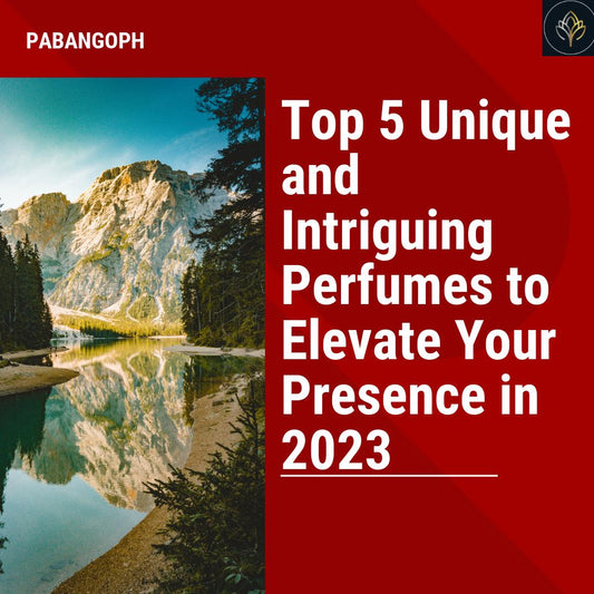 Top 5 Unique and Intriguing Perfumes to Elevate Your Presence in 2023