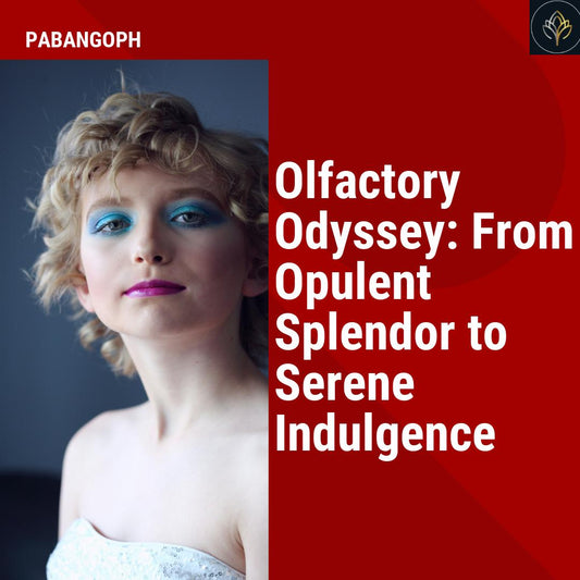 Olfactory Odyssey: From Opulent Splendor to Serene Indulgence