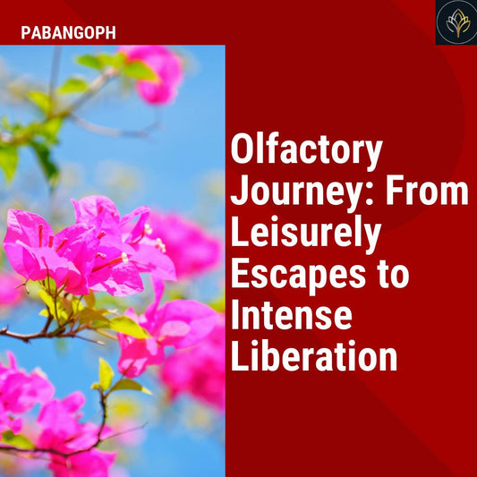 Olfactory Journey: From Leisurely Escapes to Intense Liberation