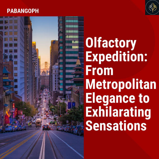 Olfactory Expedition: From Metropolitan Elegance to Exhilarating Sensations