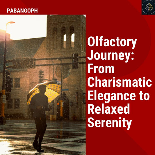 Olfactory Journey: From Charismatic Elegance to Relaxed Serenity