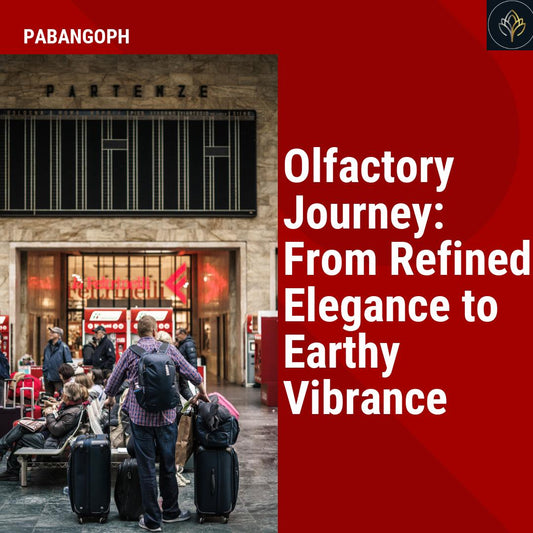 Olfactory Journey: From Refined Elegance to Earthy Vibrance