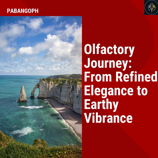 Olfactory Journey: From Refined Elegance to Earthy Vibrance