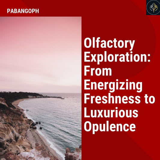 Olfactory Exploration: From Energizing Freshness to Luxurious Opulence