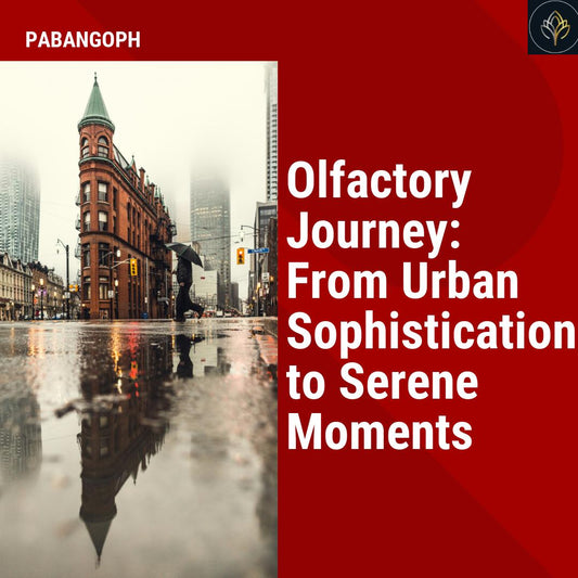 Olfactory Journey: From Urban Sophistication to Serene Moments