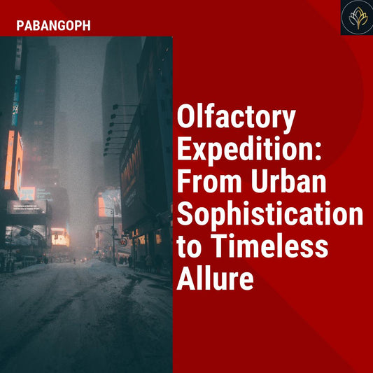 Olfactory Expedition: From Urban Sophistication to Timeless Allure