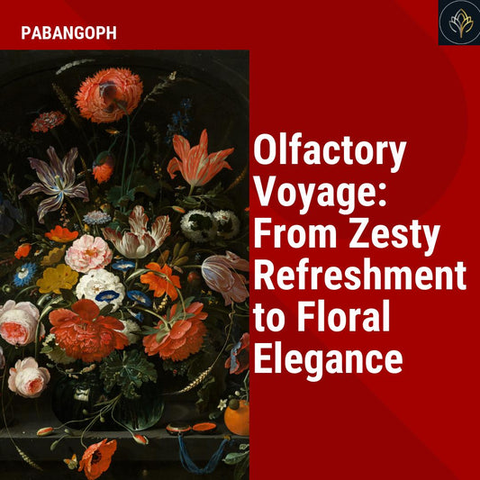 Olfactory Voyage: From Zesty Refreshment to Floral Elegance