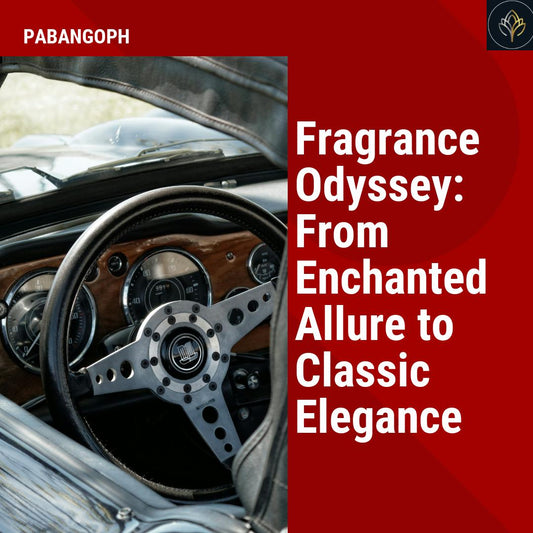 Fragrance Odyssey: From Enchanted Allure to Classic Elegance