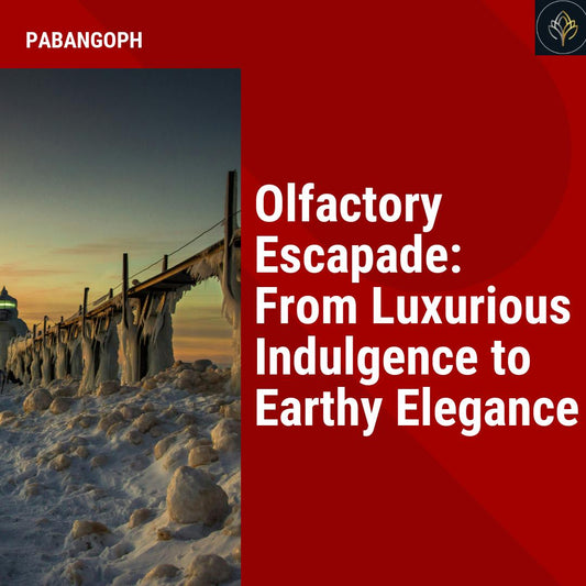 Olfactory Escapade: From Luxurious Indulgence to Earthy Elegance