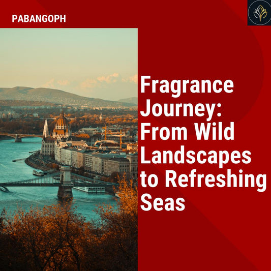 Fragrance Journey: From Wild Landscapes to Refreshing Seas