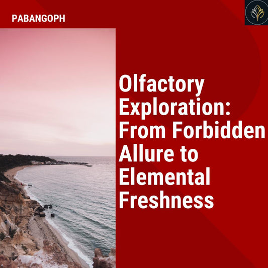 Olfactory Exploration: From Forbidden Allure to Elemental Freshness