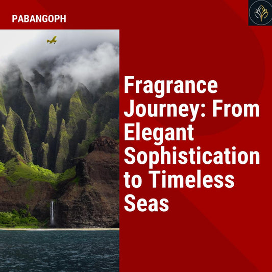 Fragrance Journey: From Elegant Sophistication to Timeless Seas