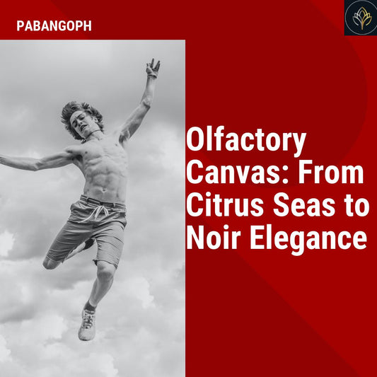 Olfactory Canvas: From Citrus Seas to Noir Elegance