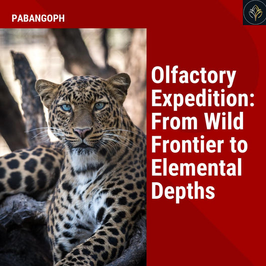 Olfactory Expedition: From Wild Frontier to Elemental Depths