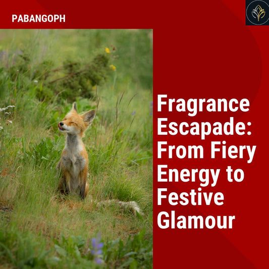 Fragrance Escapade: From Fiery Energy to Festive Glamour