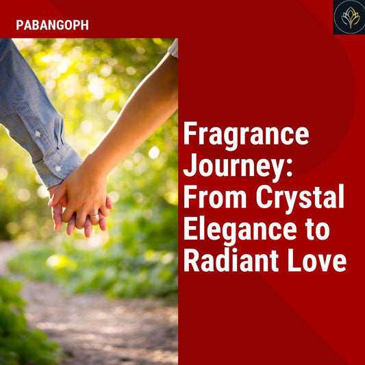 Fragrance Journey: From Crystal Elegance to Radiant Love