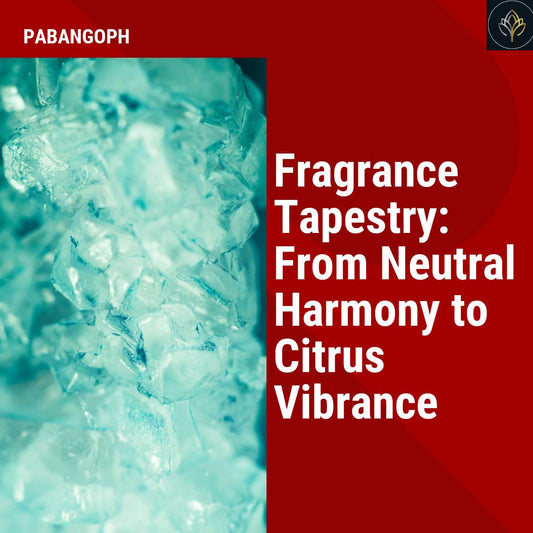 Fragrance Tapestry: From Neutral Harmony to Citrus Vibrance