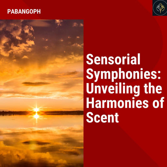 Sensorial Symphonies: Unveiling the Harmonies of Scent